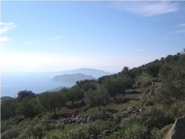 Unser Angebot auf der Insel Aegina/Saronischer Golf/Griechenland