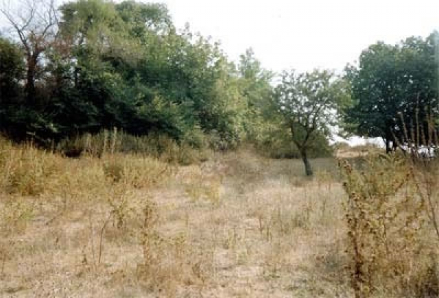 Baugrundstueck nahe Preveza /Griechenland