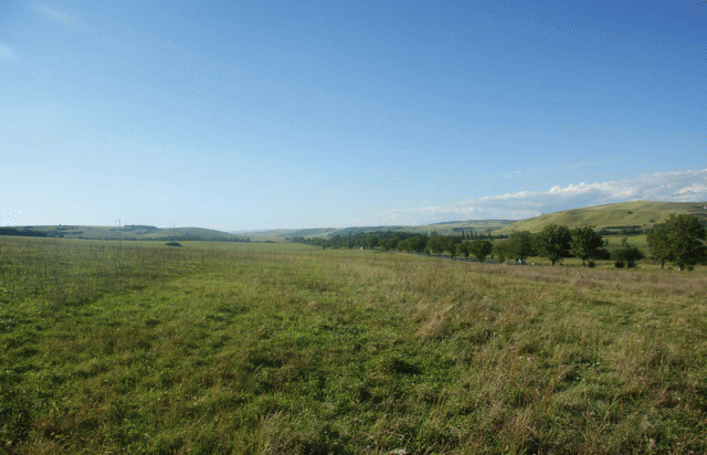 BAUGRUNDSTÜCK RUMÄNIEN + DAS BESTE PREIS SIE JE GESEHEN HABEN +