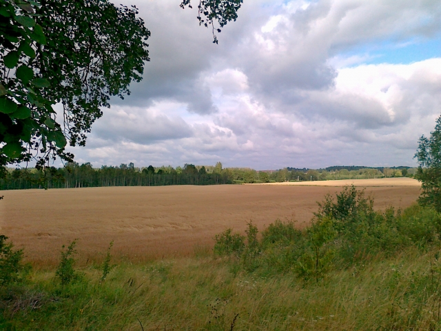 Ackerland in Lettland