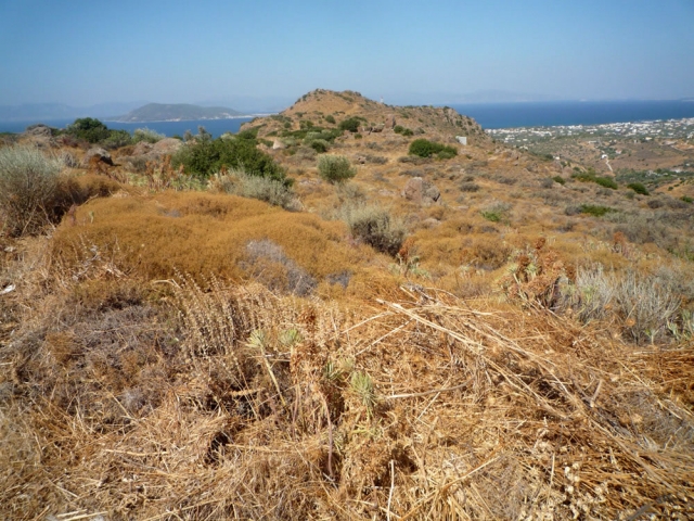 Unser Angebot auf der Insel Egina/Saronischer Golf/Griechenland