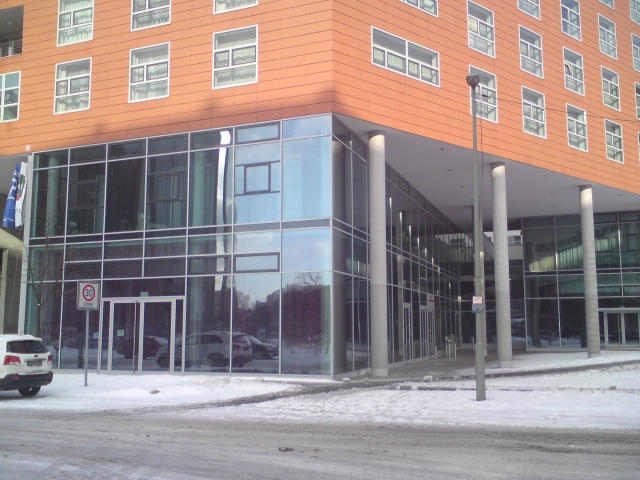 Junge, dynamische Bürogemeinschaft